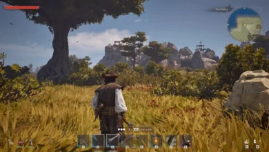 A third-person perspective of a character in pirate attire standing in a sun-drenched grassy field, looking toward distant rocky hills and watchtowers in a video game.