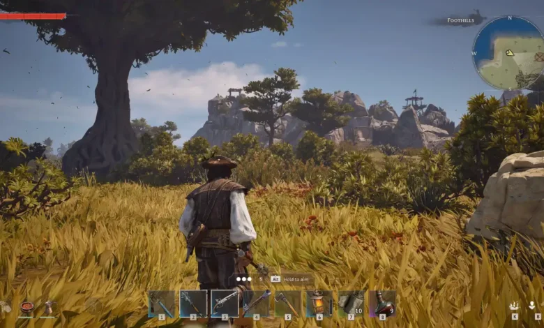 A third-person perspective of a character in pirate attire standing in a sun-drenched grassy field, looking toward distant rocky hills and watchtowers in a video game.