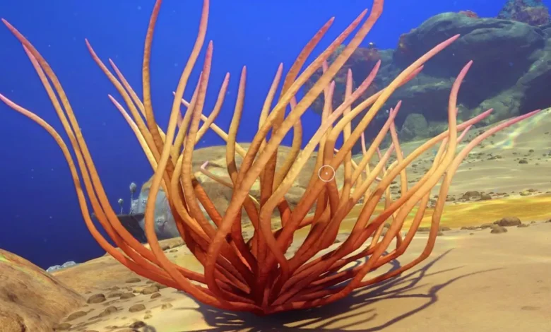 A vibrant orange coral-like structure with long, thin branches sits on a sandy seabed in a bright blue underwater scene.