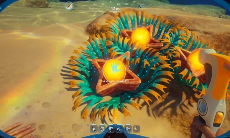 A first-person view from an underwater video game features glowing orange alien plants on a sandy seabed with an interaction prompt.