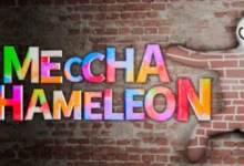 Colorful 3D text reading "MECCHA CHAMELEON" is displayed against a red brick wall next to a smiley character camouflaged into the background.