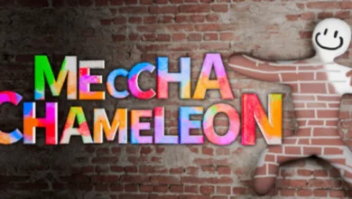 Colorful 3D text reading "MECCHA CHAMELEON" is displayed against a red brick wall next to a smiley character camouflaged into the background.