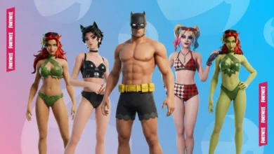 Fortnite characters Batman, Catwoman, Harley Quinn, and Poison Ivy posed in summer beachwear against a blue and pink background.