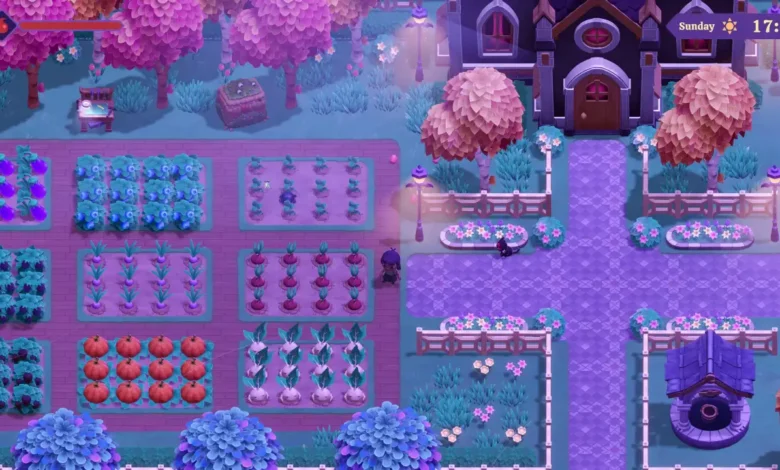 A character stands in a vibrant fantasy farm with colorful crop plots, pink trees, and a decorative path leading to a gothic-style house.